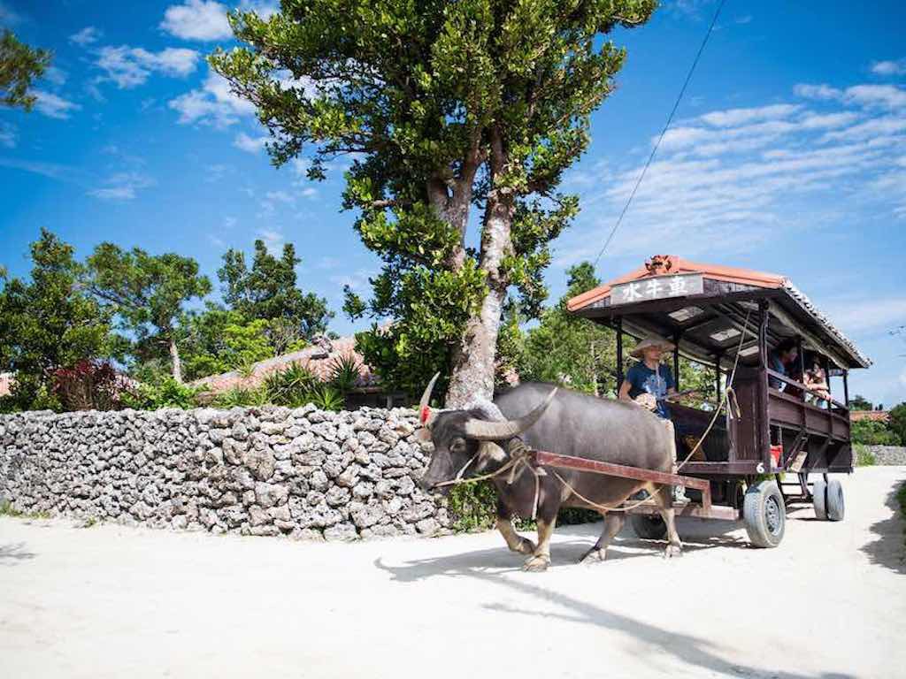Miyako Sightseeing Day Tour (no available) 1